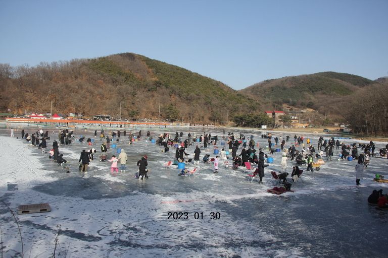 2023/01/29 조황정보